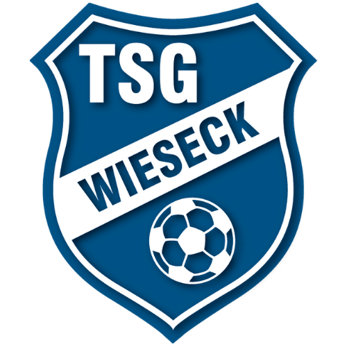 (c) Tsg-wieseck.com